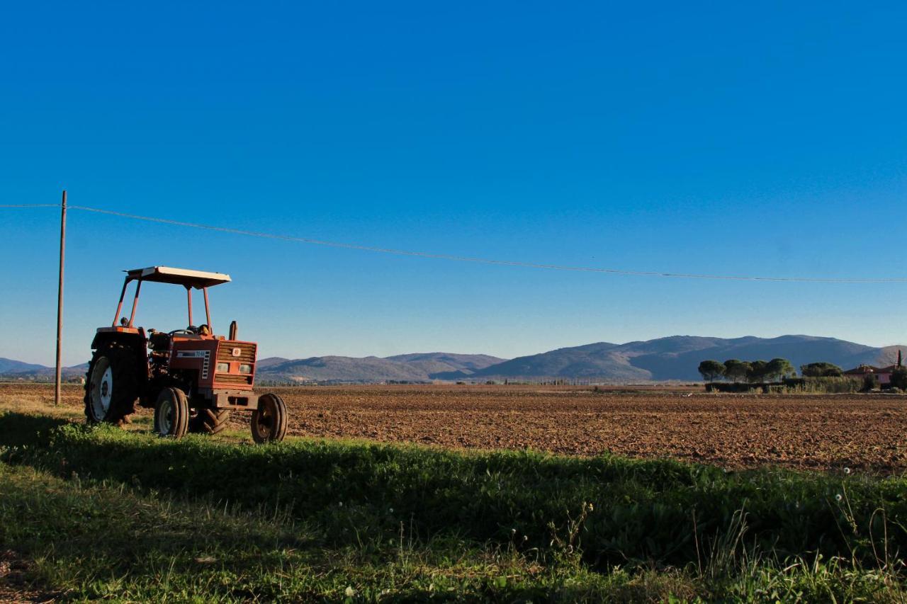 Agriturismo Poderedodici Орбетелло Экстерьер фото